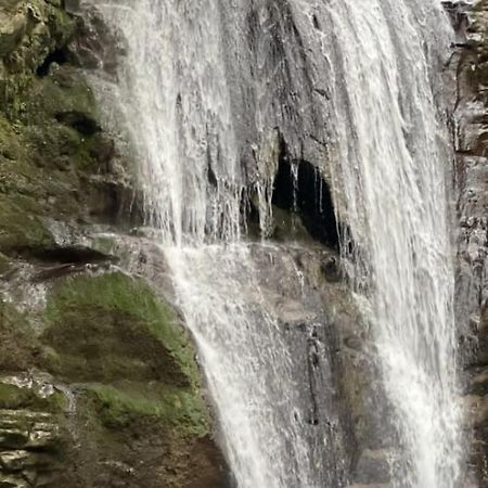 Белый Лотос Gagra Luaran gambar
